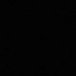 Meet your Posher, Natasha